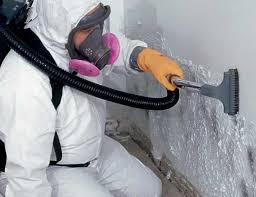 Best Black Mold Removal  in Elkhart, TX